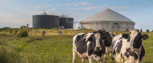 Bio Gas Installation Processing Cow Dung as part of a Farm